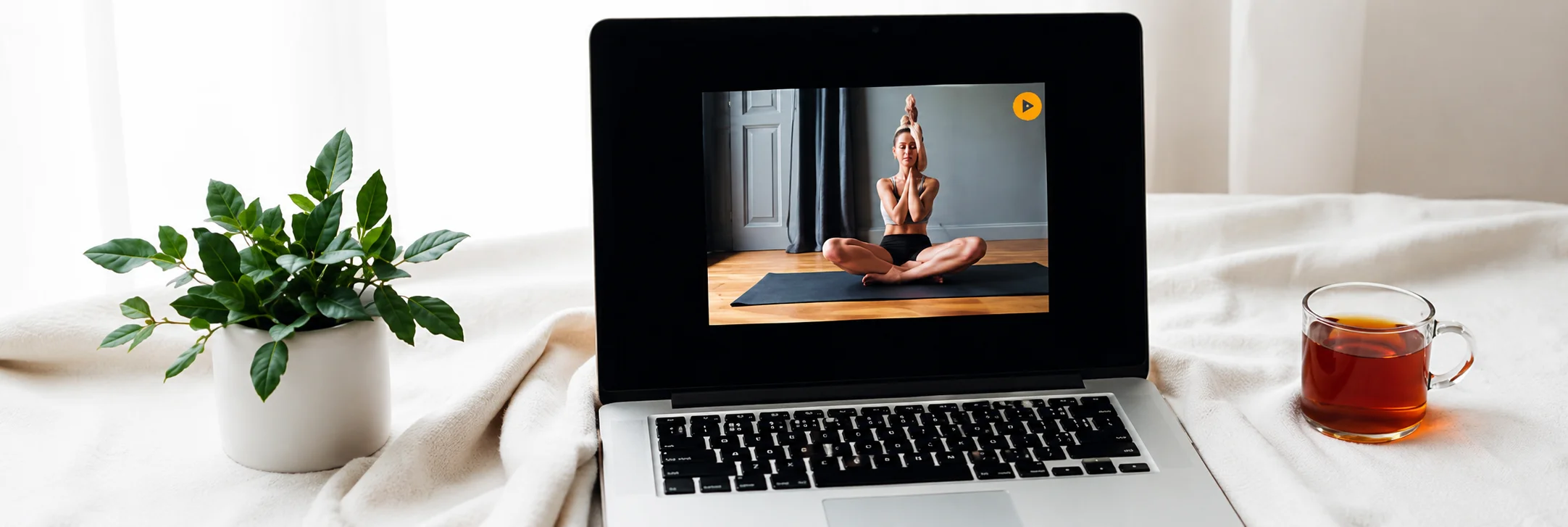 Explore Our Online Courses