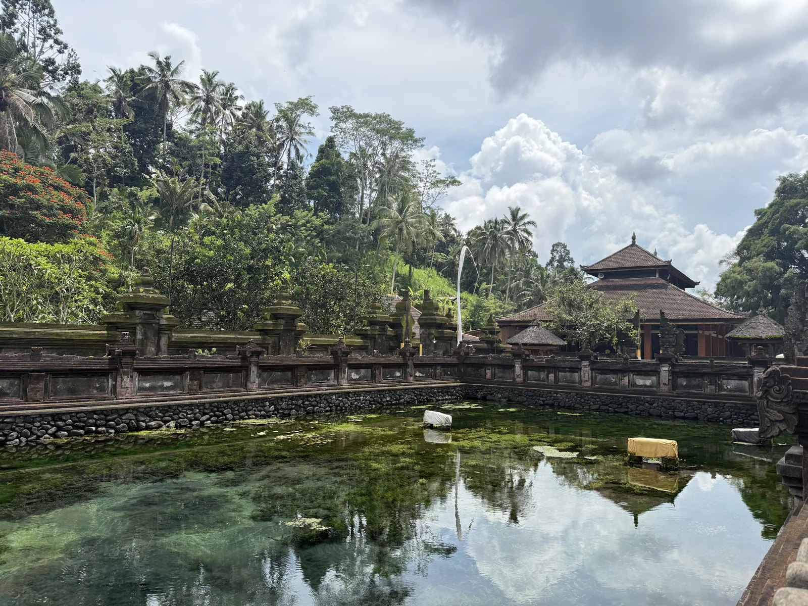 Why Bali?