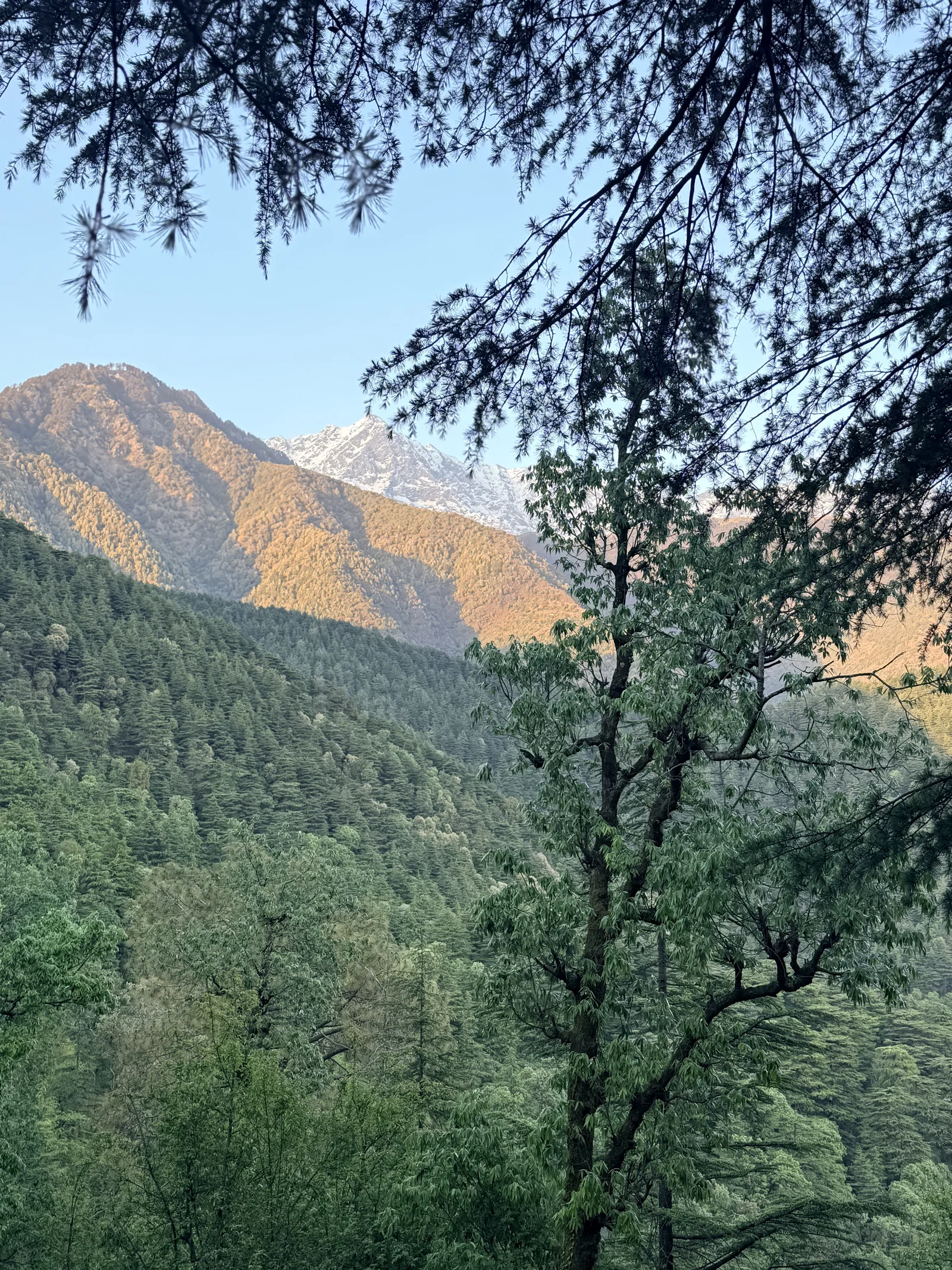Why Dharamshala?